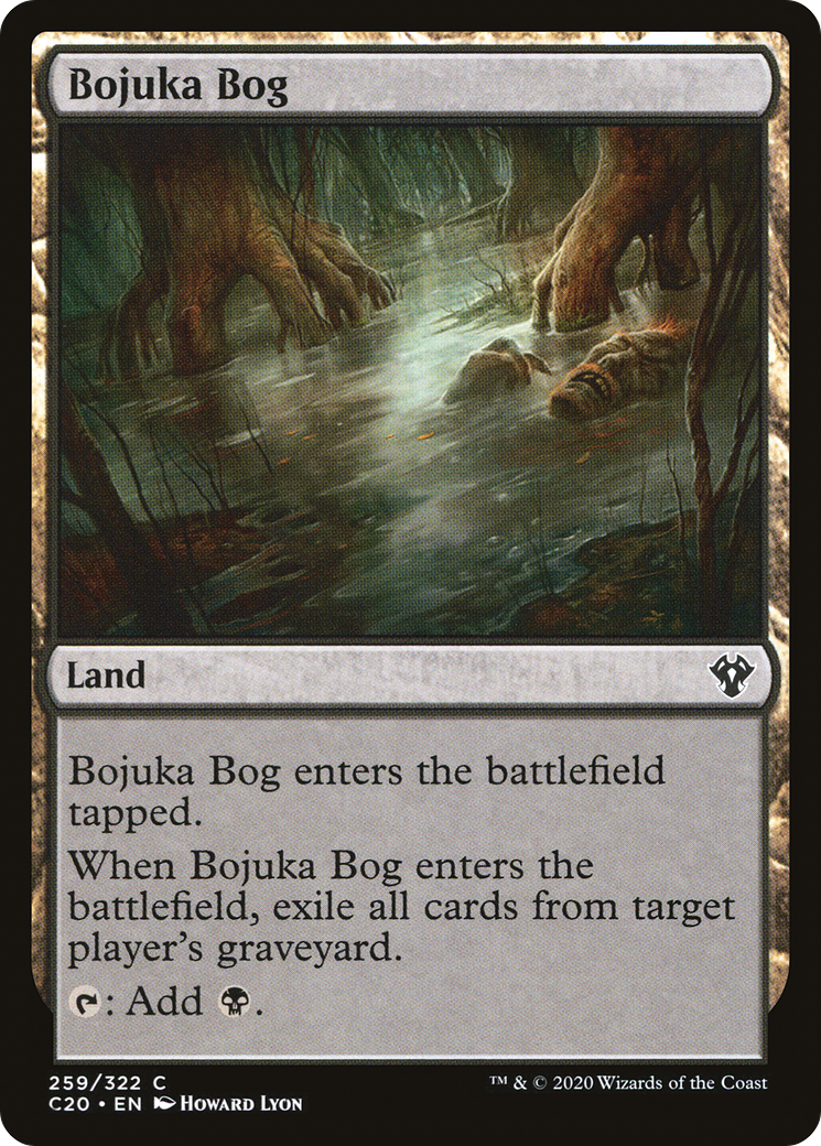 Tourbière de Bojuka [Commandant 2020] 