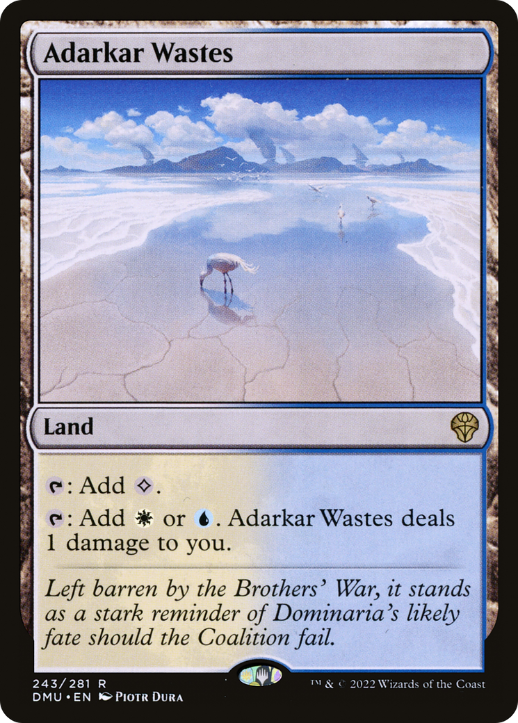 Déchets d'Adarkar [Dominaria United] 