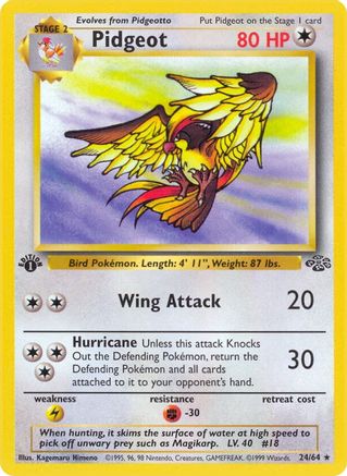 Pidgeot (24) (24) 024  - 1st Edition - Rare