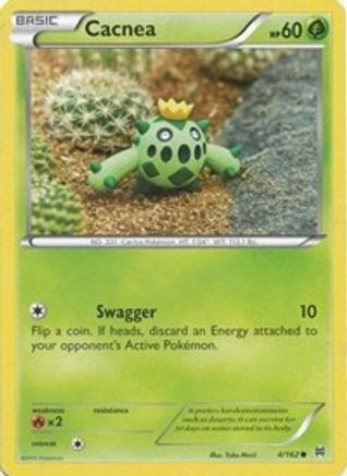 Cacnea 004  - Common