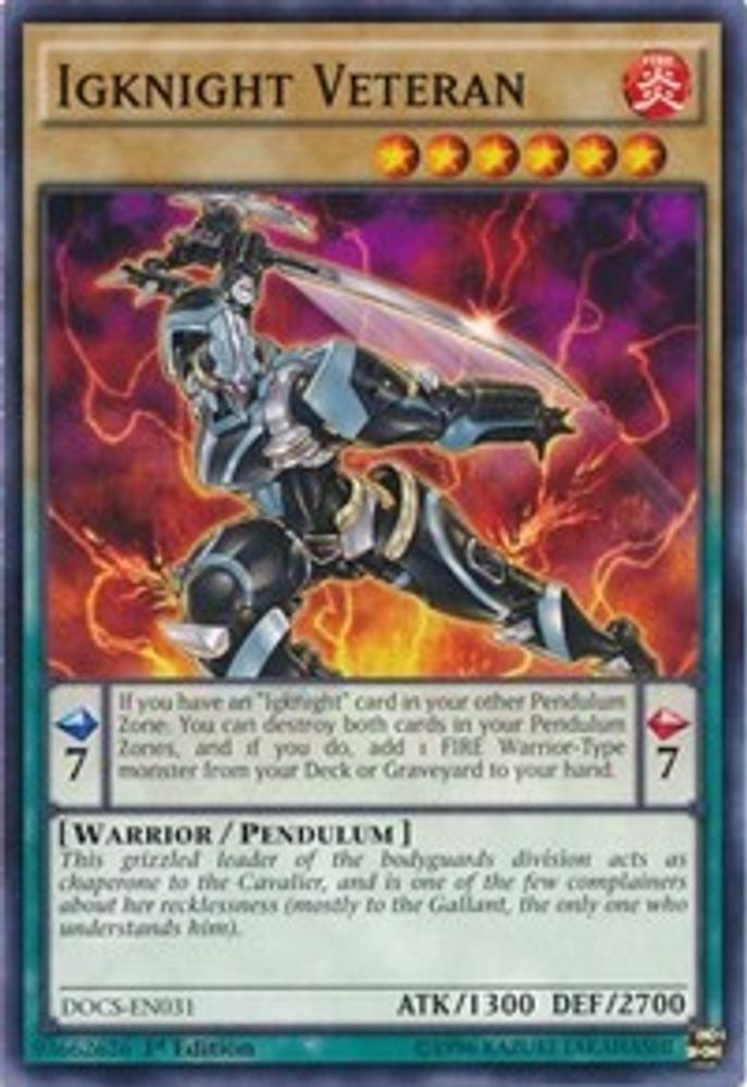 Igknight Veteran (DOCS-EN031) - Common