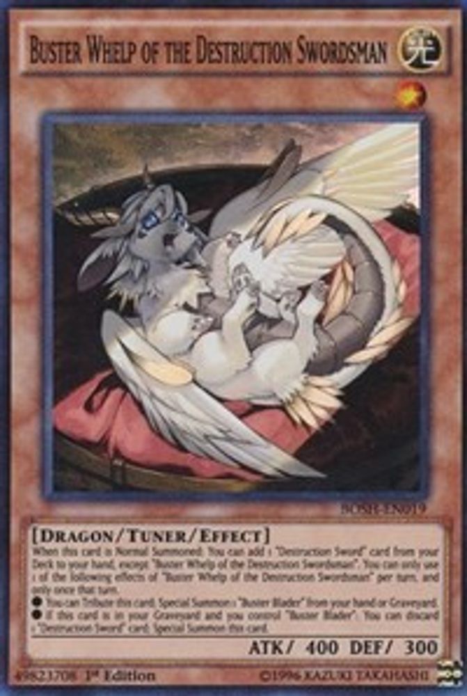 Buster Whelp of the Destruction Swordsman (BOSH-EN019) - Super Rare