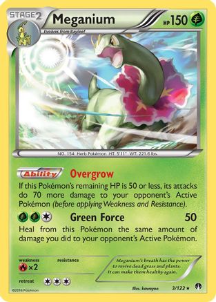 Meganium 003  - Holofoil - Holo Rare