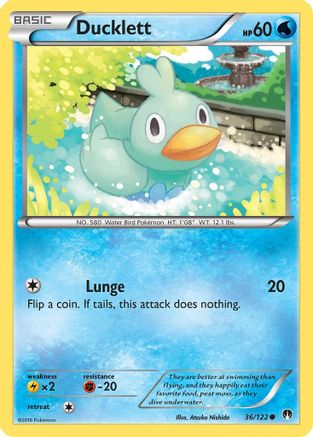 Ducklett 036  - Common