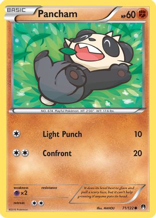 Pancham 071  - Common