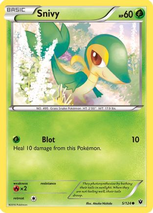 Snivy 005  - Common
