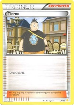 Tierno (20/30) [XY : Kit d'entraînement 3 - Pikachu Libre] 