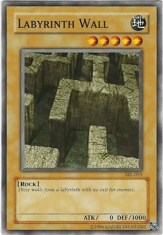 Labyrinth Wall (SRL-055) - Common