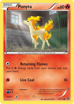 Ponyta 016  - Common