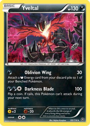 Yveltal 065  - Holofoil - Holo Rare