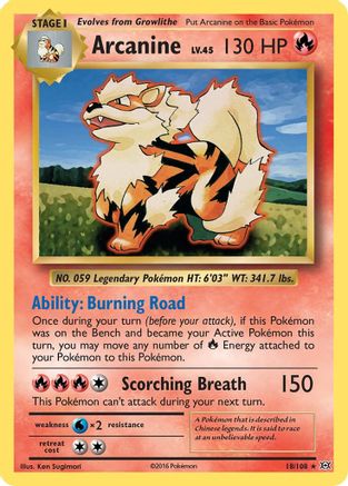 Arcanine 018  - Rare