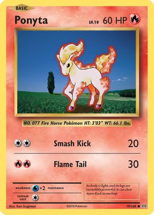 Ponyta 019  - Common