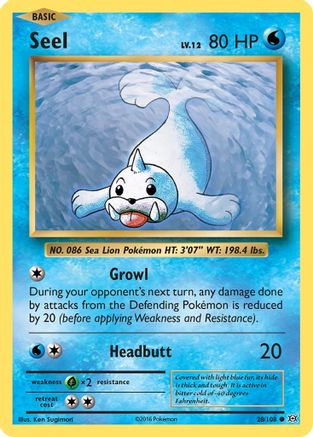 Seel 028  - Common