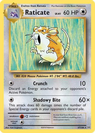 Raticate (67/108) [XY : Evolutions] 