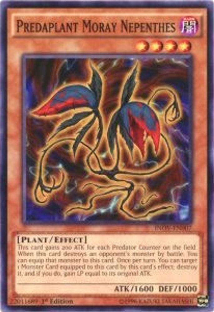 Predaplant Moray Nepenthes (INOV-EN007) - Common