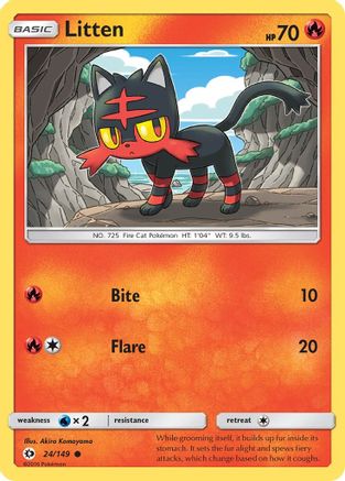 Litten 024  - Common