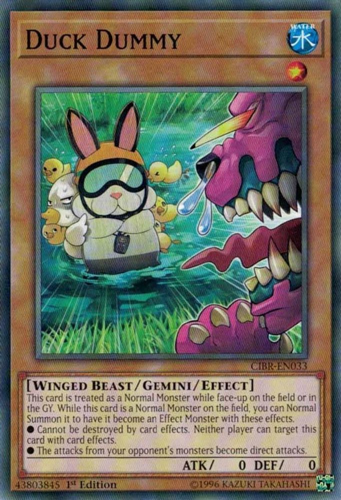 Duck Dummy (CIBR-EN033) - Common
