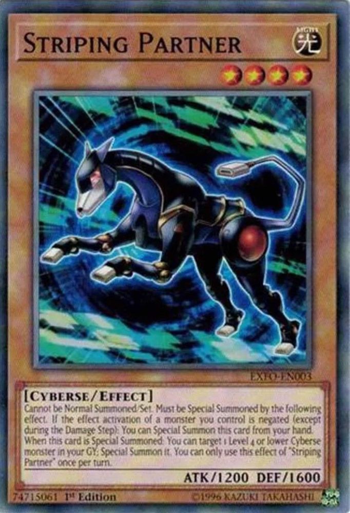 Striping Partner (EXFO-EN003) - Common