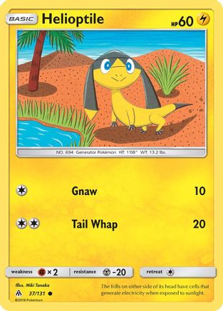 Helioptile  - Common