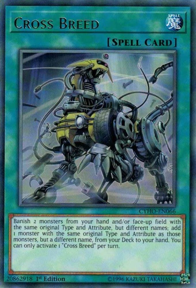 Race croisée [CYHO-EN066] Rare 
