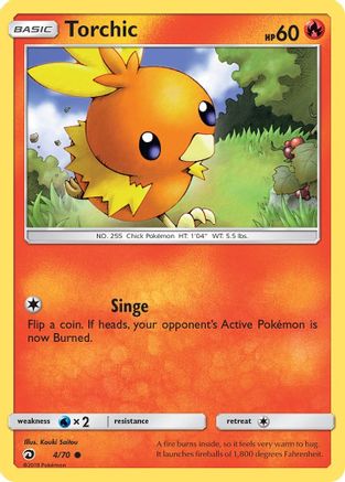 Torchic 004  - Common