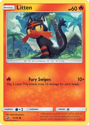 Litten 012  - Common