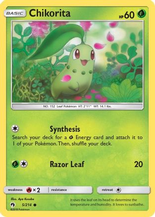 Chikorita (5) (5) 005  - Common