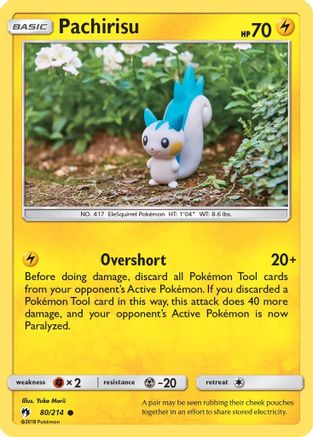Pachirisu 080  - Common