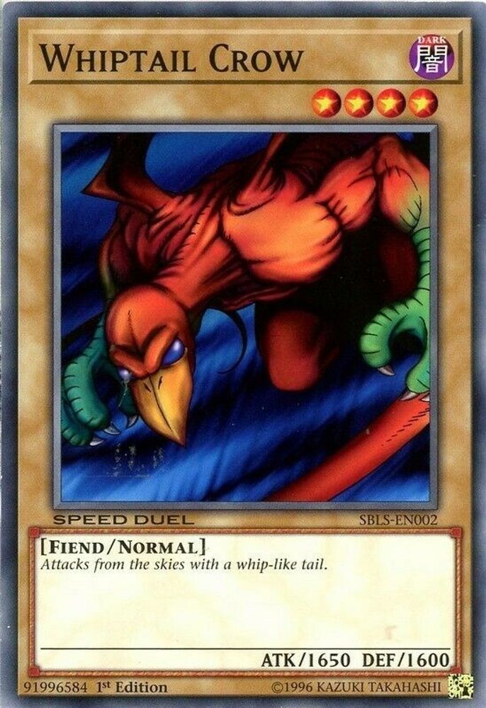 Whiptail Crow (SBLS-EN002) - Common