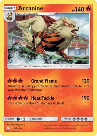 Arcanine 022  - Holofoil - Holo Rare
