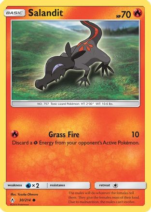 Salandit  - Common