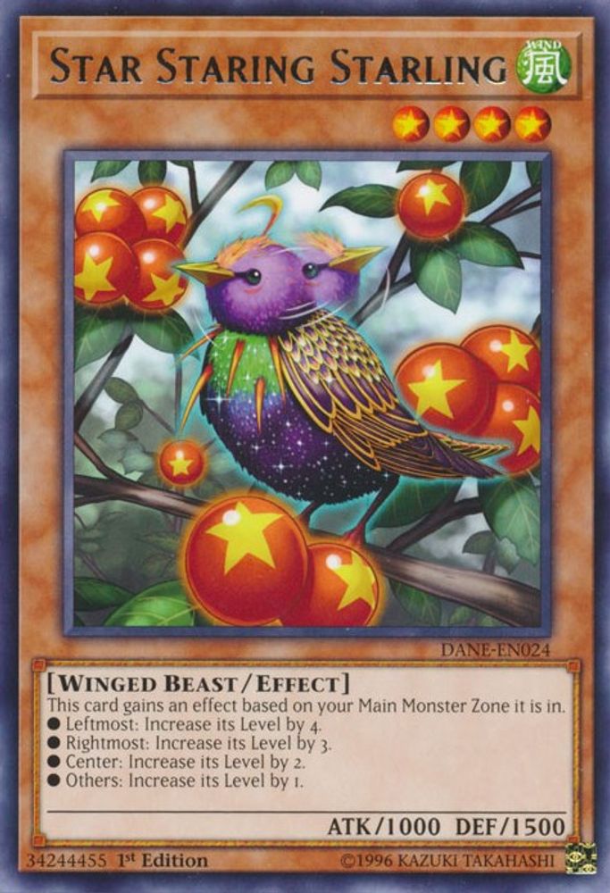Star Staring Starling (DANE-EN024) - Rare