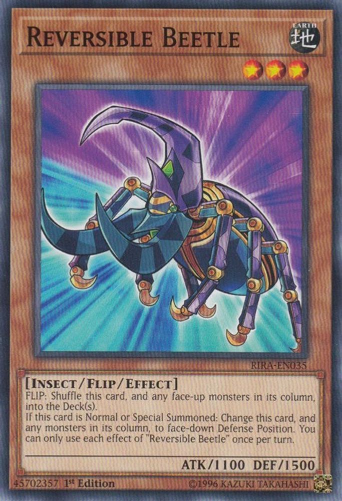 Reversible Beetle (RIRA-EN035) - Common