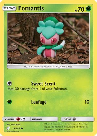 Fomantis 015  - Common
