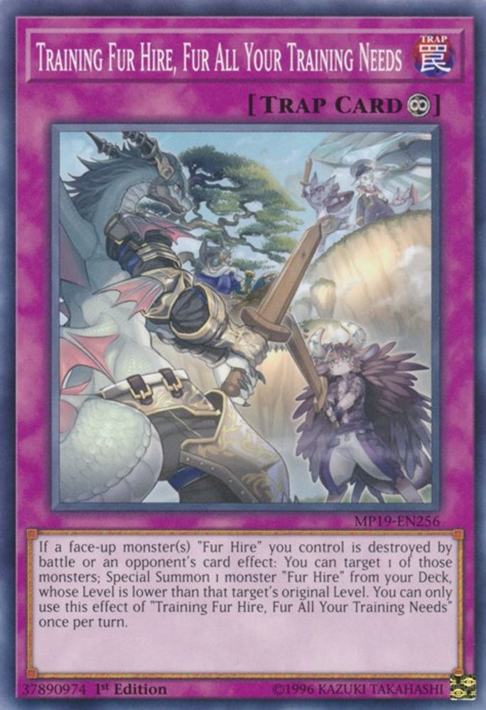 Training Fur Hire, Fur All Your Training Needs (MP19-EN256) - Common