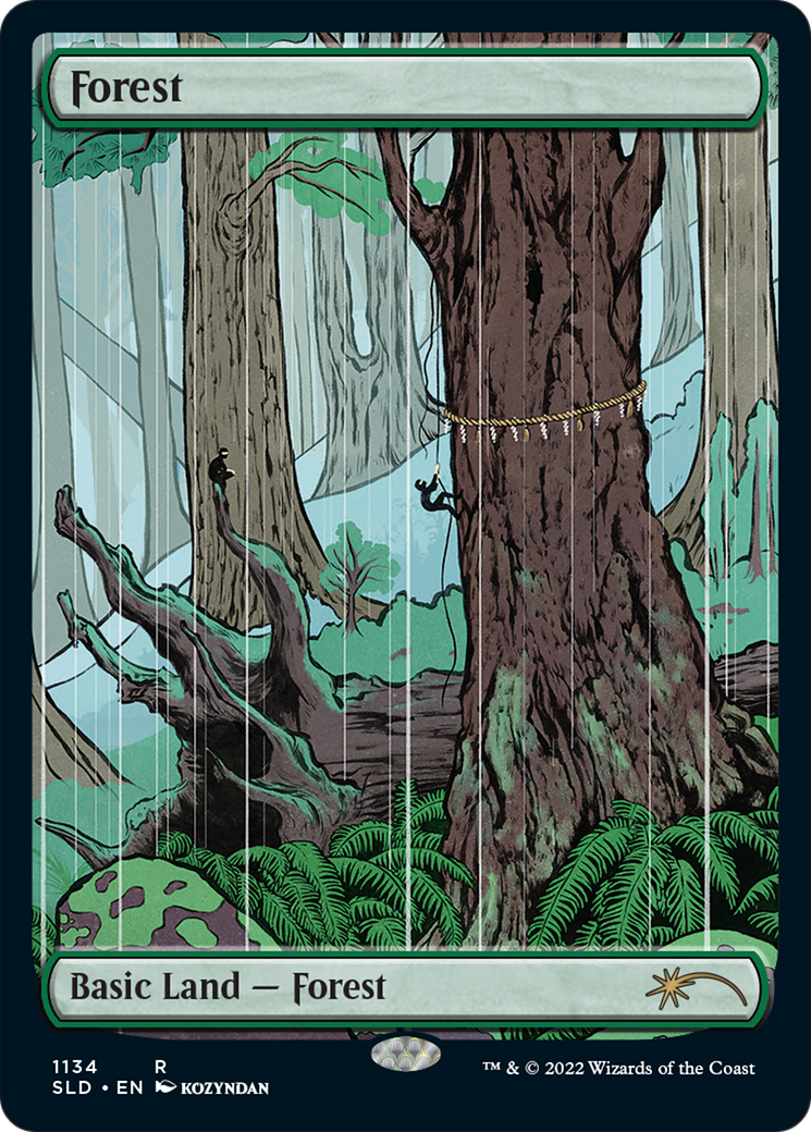 Forêt (1134) (Full-Art) [Série Secret Lair Drop] 