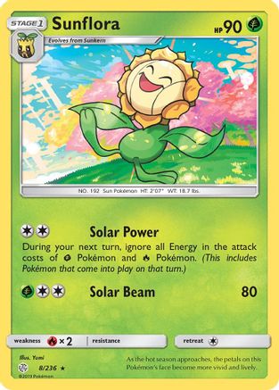 Sunflora 008  - Rare