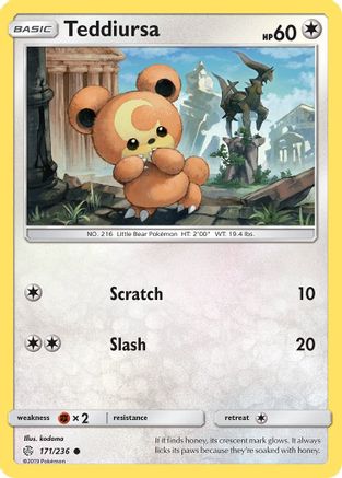 Teddiursa 171  - Common