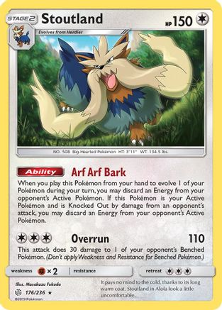 Stoutland  - Holofoil - Holo Rare