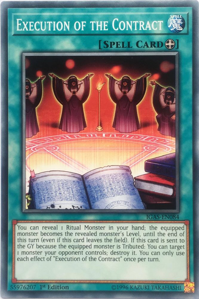 Execution of the Contract (IGAS-EN084) - Common