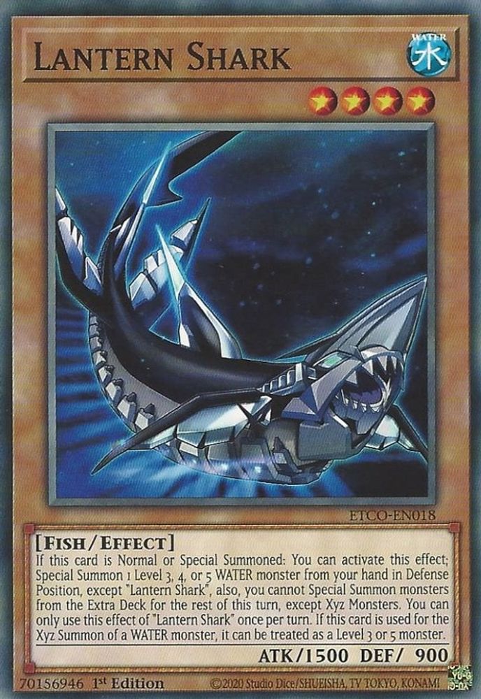 Lantern Shark (ETCO-EN018) - Common