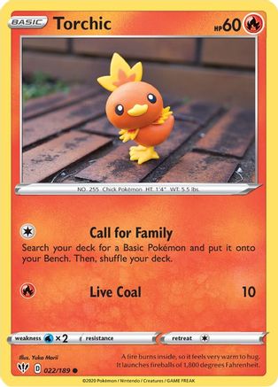 Torchic 022  - Common