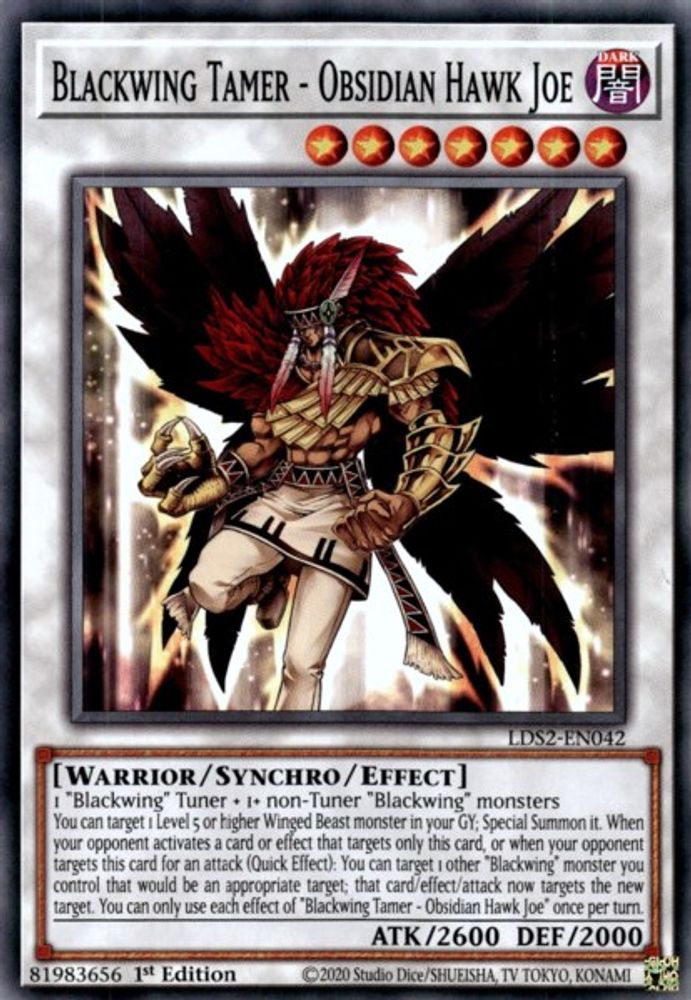 Blackwing Tamer - Obsidian Hawk Joe (LDS2-EN042) - Common