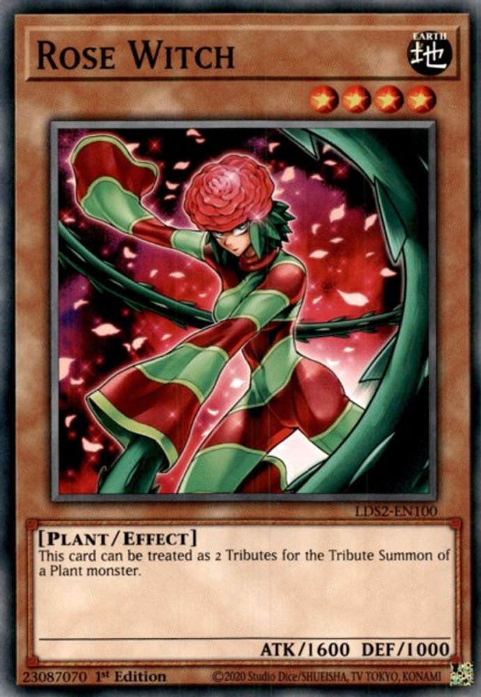 Rose Sorcière [LDS2-EN100] Commune 
