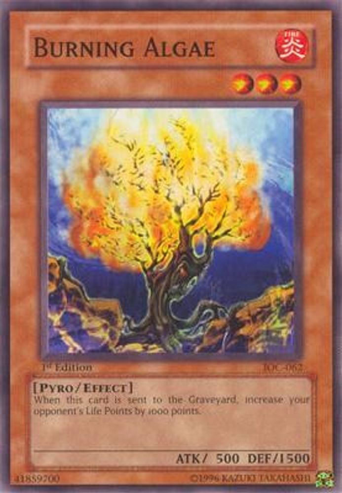 Burning Algae (IOC-062) - Common