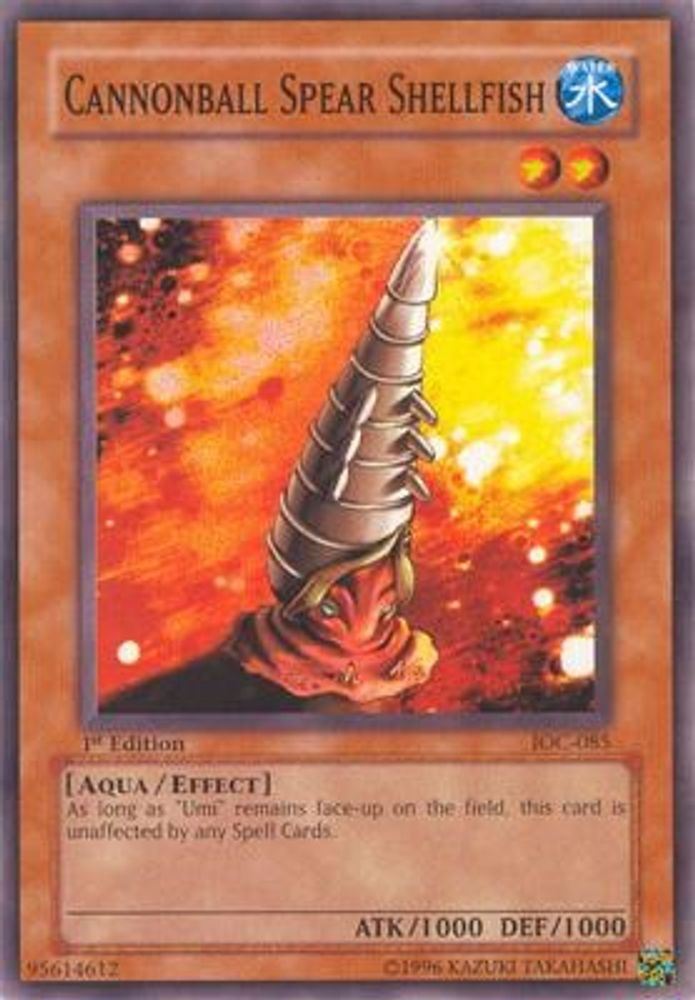 Cannonball Spear Shellfish (IOC-085) - Common