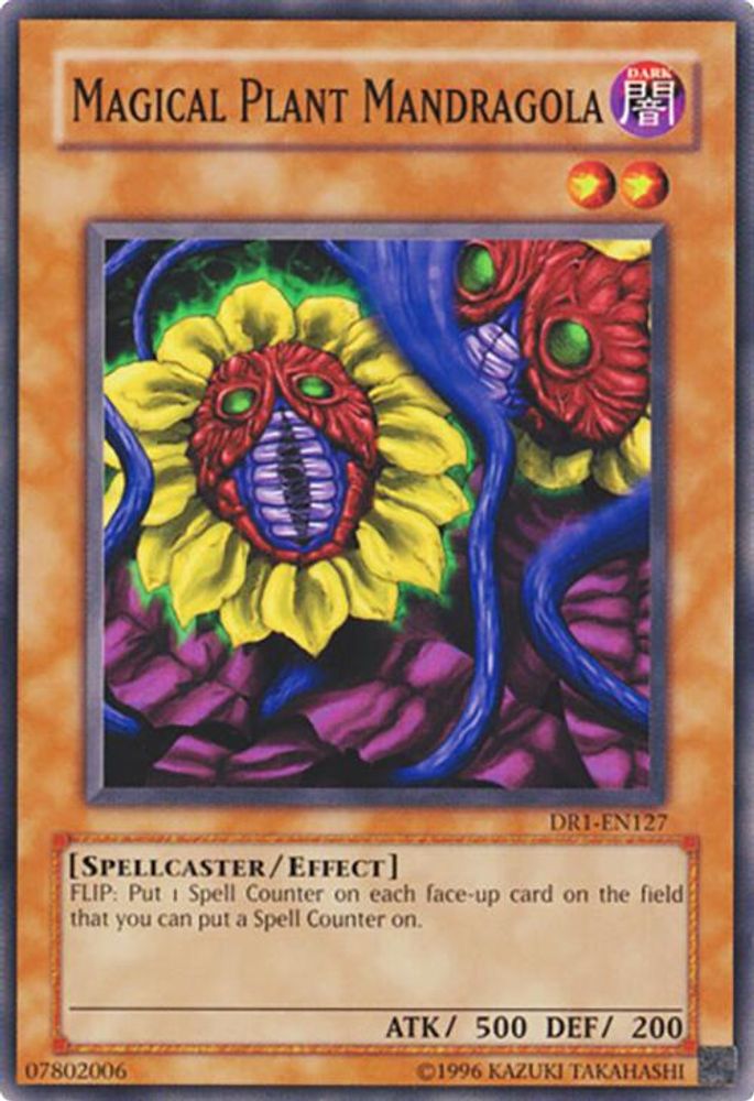Mandragola plante magique [DR1-EN127] Commune 