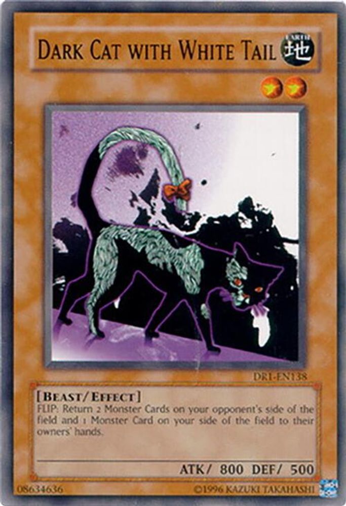 Dark Cat with White Tail (DR1-EN138) - Common
