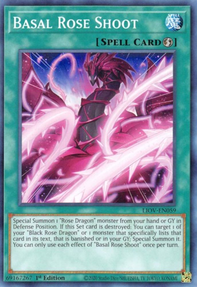Basal Rose Shoot (LIOV-EN059) - Common