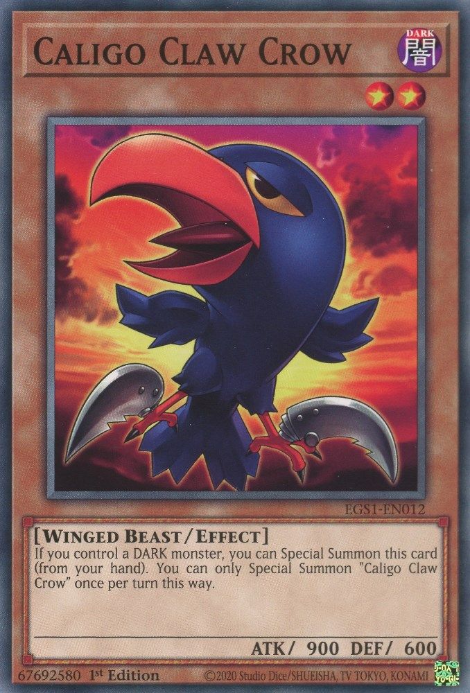 Corbeau à griffes Caligo [EGS1-EN012] Commun 